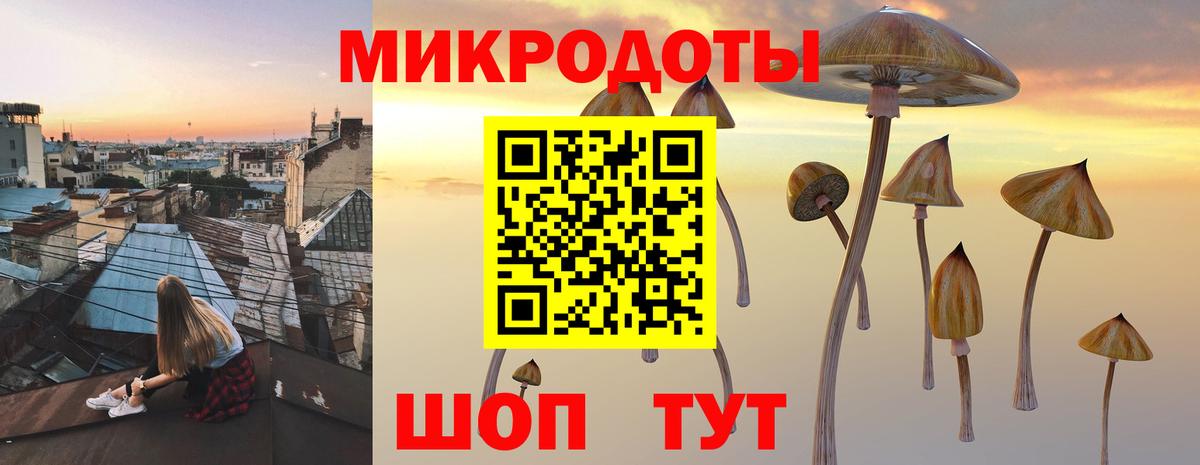 Галлюциногенные грибы Cubensis Уварово
